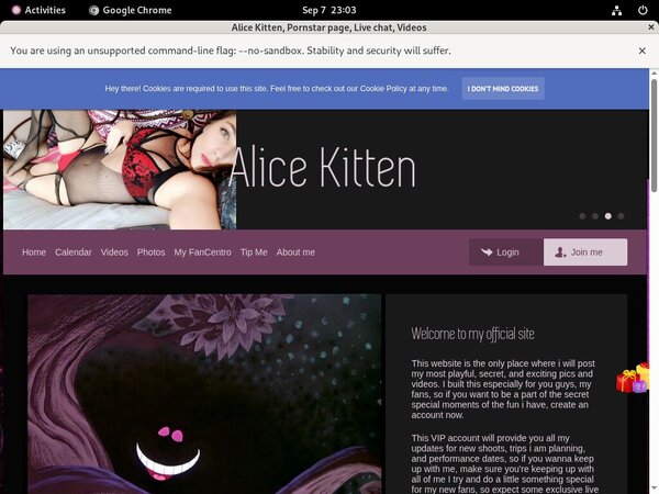 AliceKitten Paypal Register