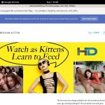 Americankittens Passwords Americankittens Passwords