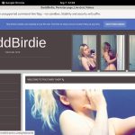BaddBirdie
