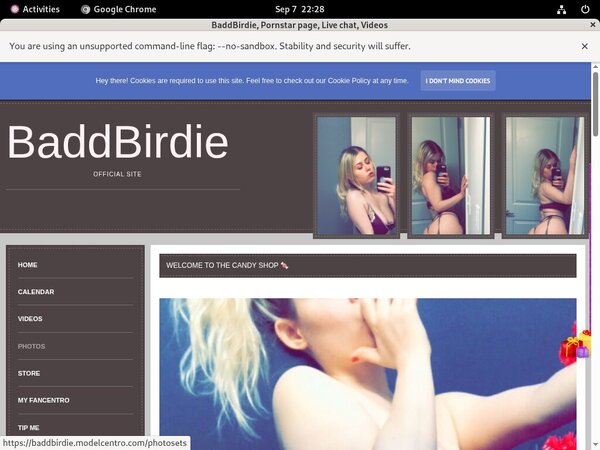 BaddBirdie Hd New
