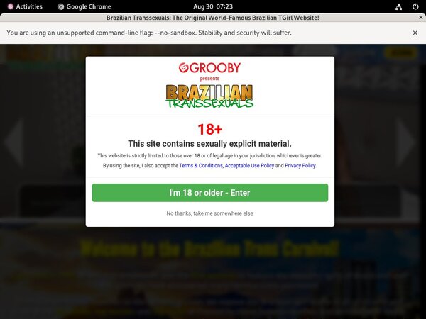 Brazilian Transsexuals Check Out