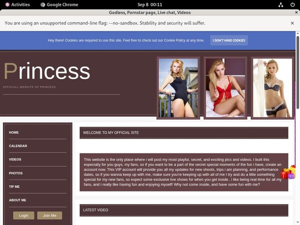 Cardboard.modelcentro.com Pricing