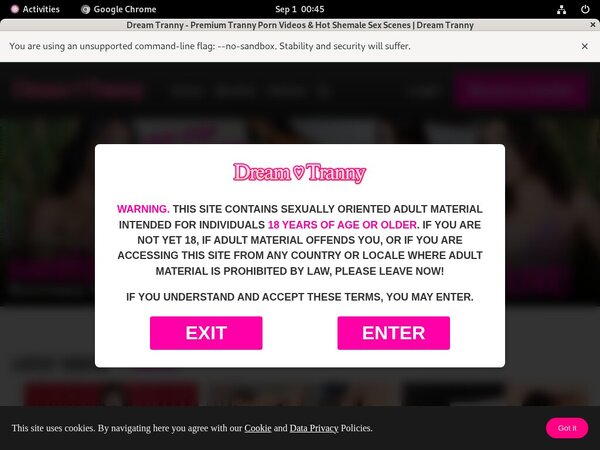 Dreamtranny.com Subscriptions