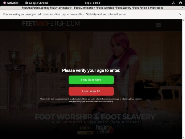 Feet And Fetish Login Generator
