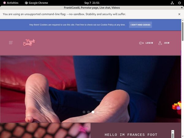 Frances.modelcentro.com Valid Account Frances.modelcentro.com Valid Account