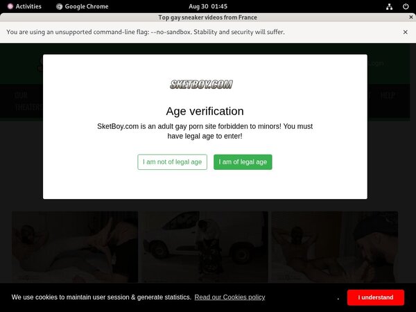 [Image: Free-Sket-Boy-Passwords.jpg]