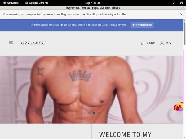 Free Working IzzyJamess Accounts