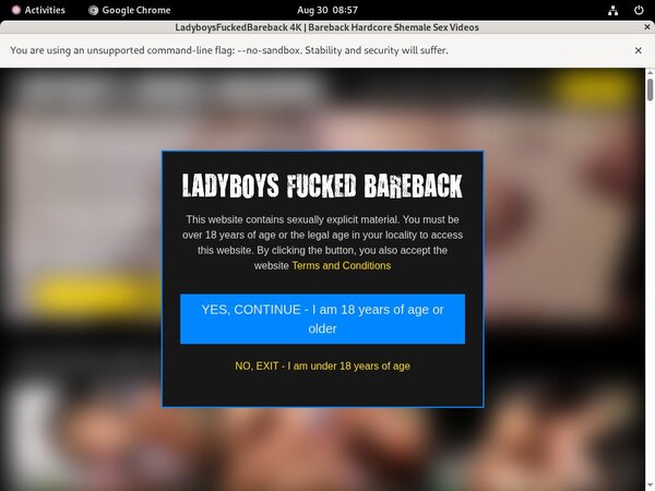 Full Ladyboys Fucked Bareback Videos