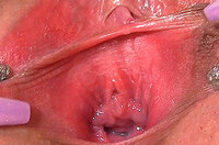 Gape My Pussy Free Passwords s3