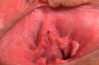 Gape My Pussy ???? s1