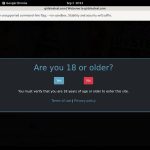 Girls In Steel Account Logins