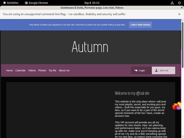 Goddesses & Dolls Paypal Discount