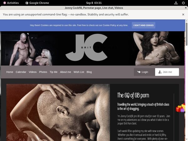 Jonnycockfill.modelcentro.com Real Passwords