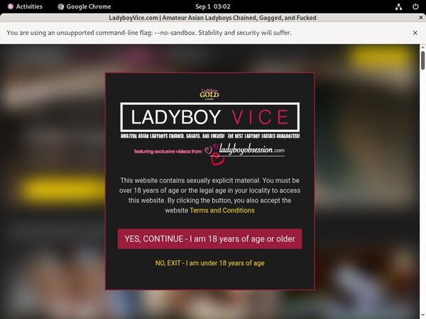Ladyboyvice Premium Pass