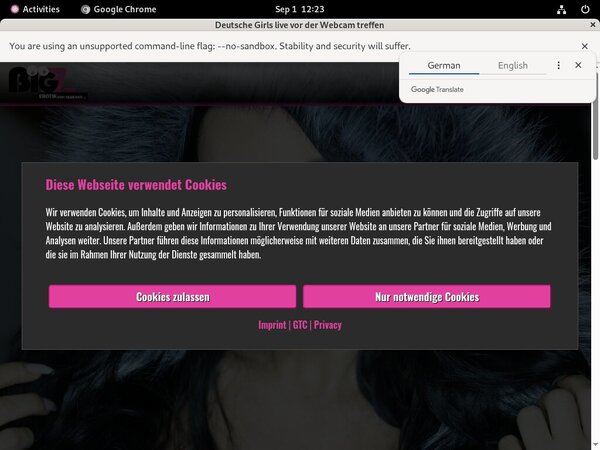 Lanagiselle.tv With Paypal Account