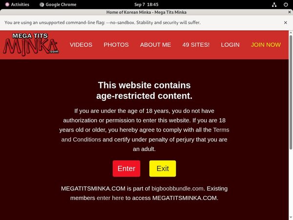 Megatitsminka.com Model