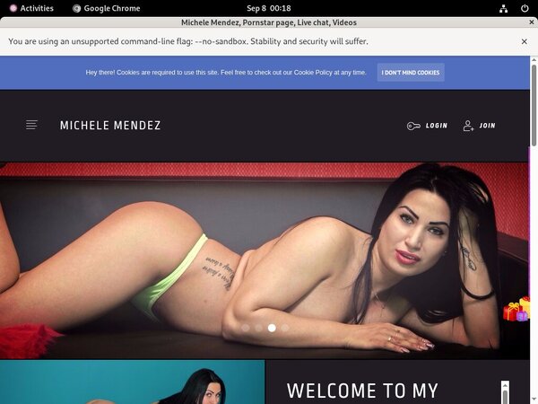 MicheleMendez Subscription Deal