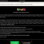 New 80 Gays Site Rip