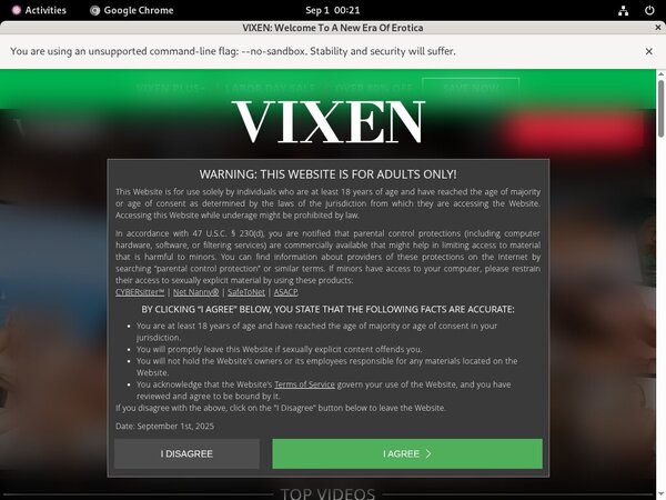 New Vixen Site Rip