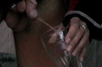 Pissingboys gay porn stars