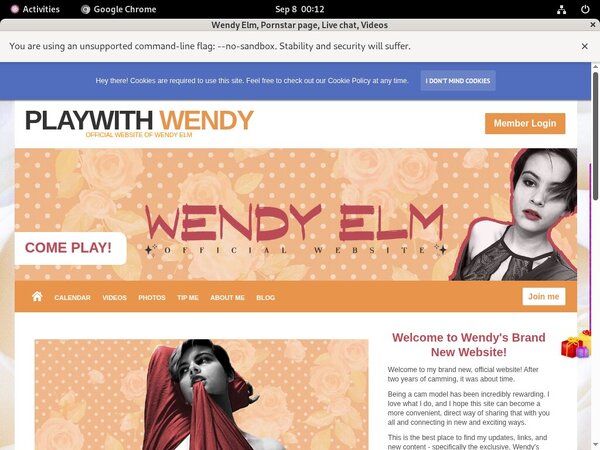 Playwithwendy Coupons