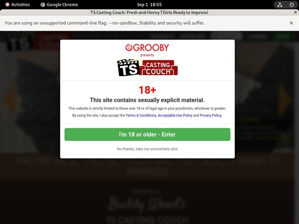 Porn TS Casting Couch Free