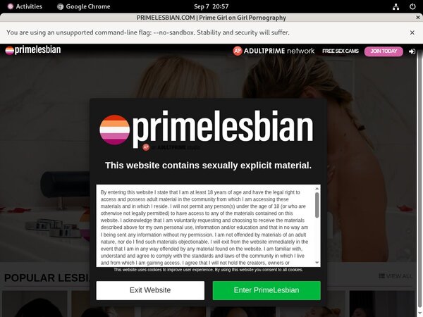 Premium Prime Lesbians Accounts