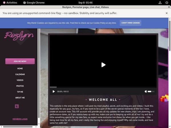 Rozlynn.modelcentro.com Discount Limited