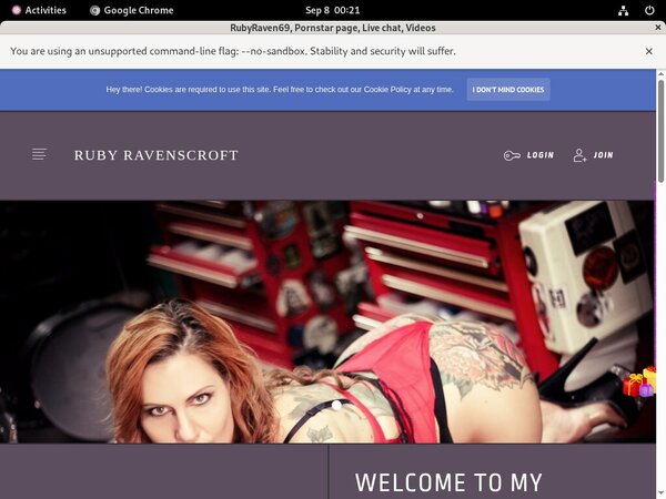 Rubyraven69.modelcentro.com Free Login