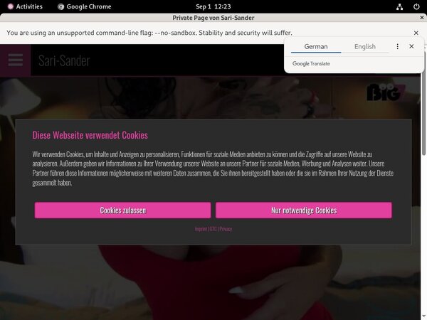 Sandersari Premium Account