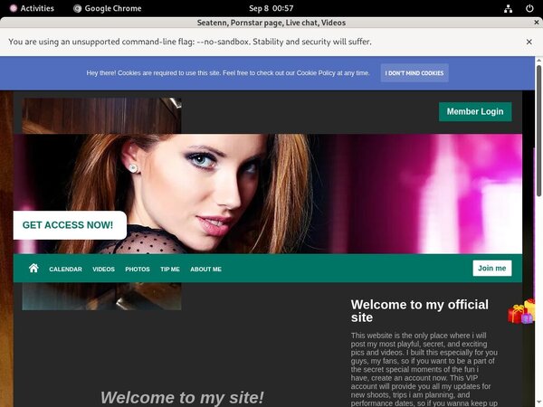 Seatenn.modelcentro.com Password Details