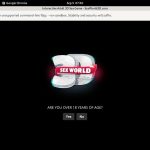 Sex World 3D With Maestro Card