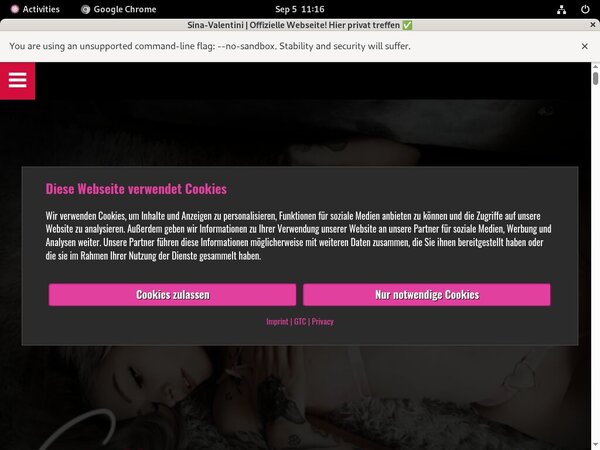 Sina-valentini.de Previews