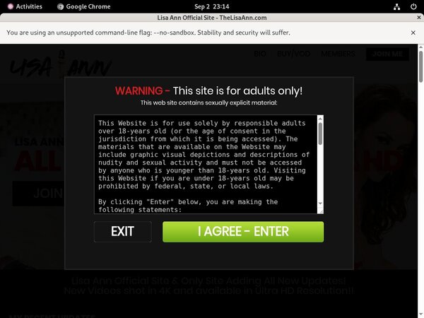 Thelisaann.com Dating