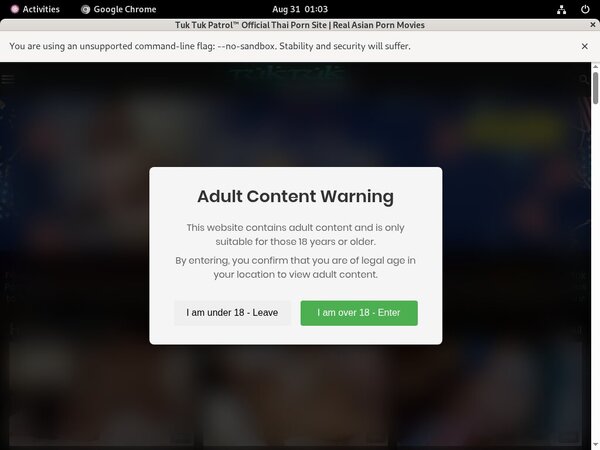 Using Paypal Tuktukpatrol