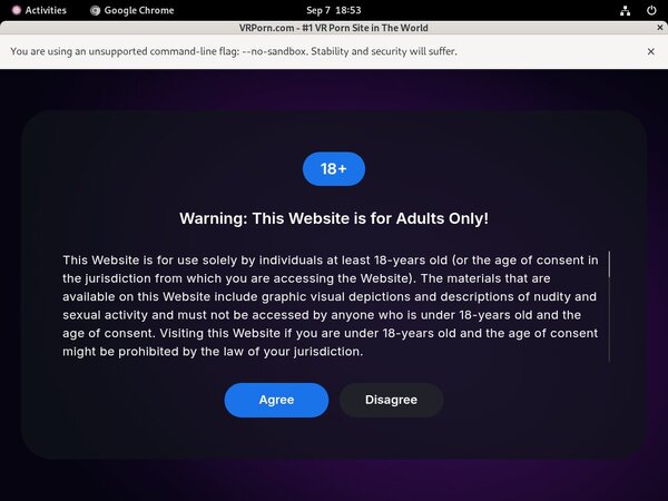 VR Porn Offer