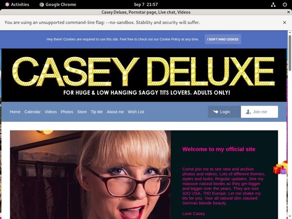 What Is Casey Deluxe