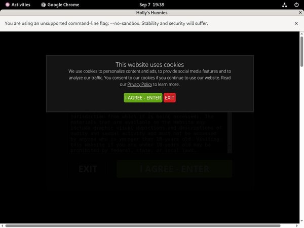 Working Hollyshunnies.com Account