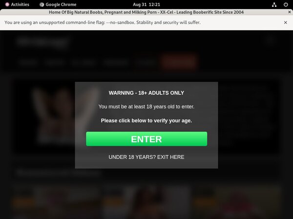 XX-Cel Gxplugin (IBAN/BIC)