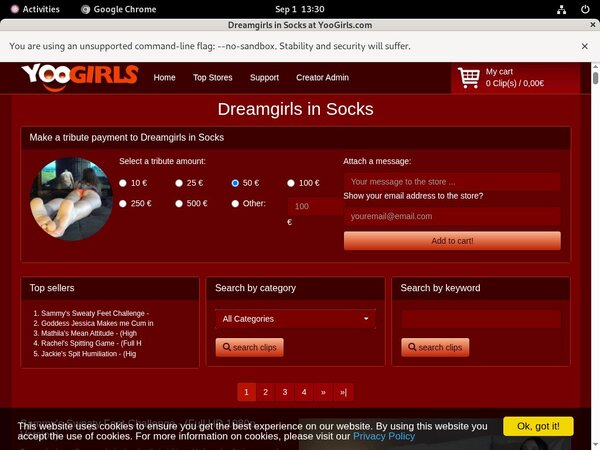 DreamgirlsInSocks Free Members