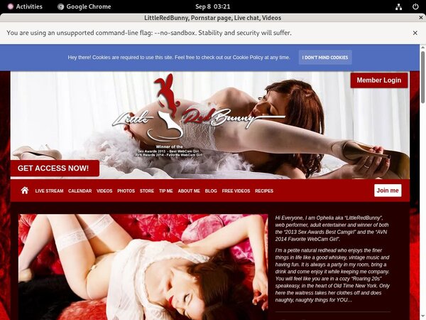 LittleRedBunny Porn Stars