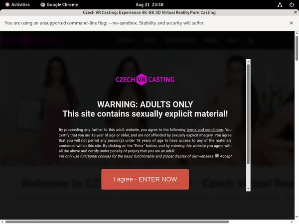 Czech VR Casting Bdsm