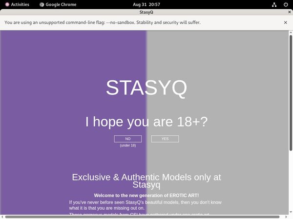 Premium Stasyq.com Site Rip